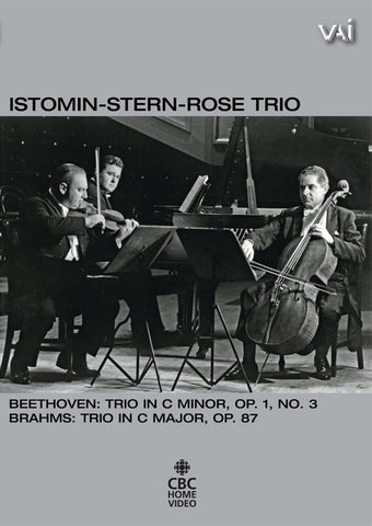 ISTOMIN-STERN-ROSE TRIO